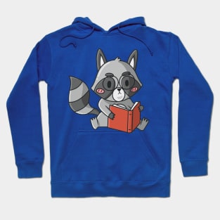 Raccoon Hoodie